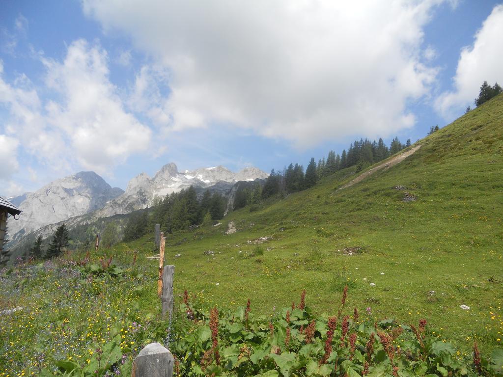 Apartamento Vorderhof Sankt Martin am Tennengebirge Exterior foto