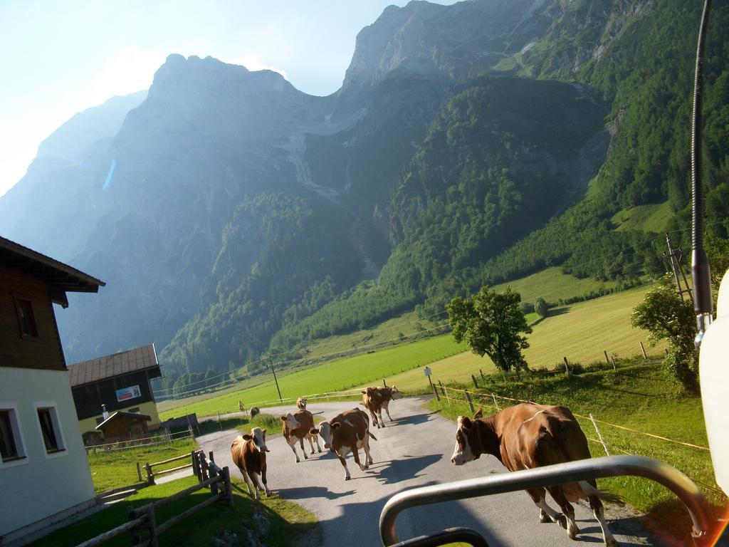 Apartamento Vorderhof Sankt Martin am Tennengebirge Exterior foto